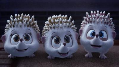 Madagascar: A Little Wild
