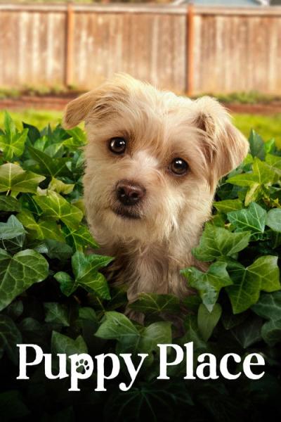 Puppy Place filmas online