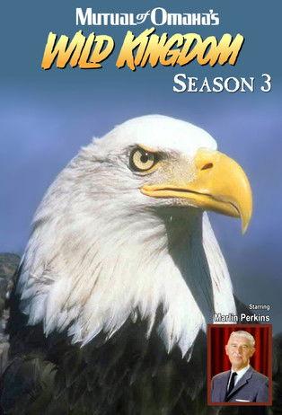 Mutual of Omaha's Wild Kingdom filmas online