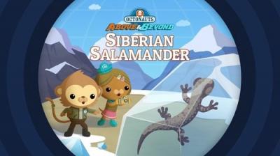 Octonauts: Above & Beyond
