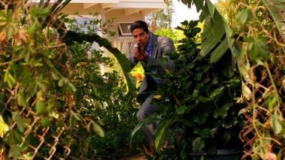 CSI Majamis