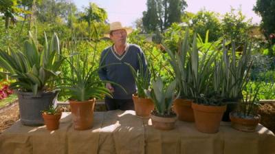 Gardening Australia