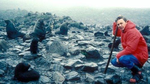 The Living Planet filmas žiurėti online