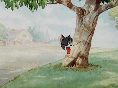 Tom and Jerry