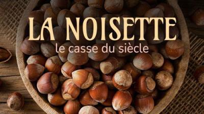 Le Doc du dimanche