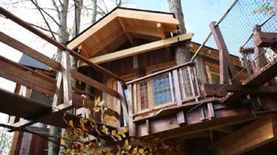 Treehouse Masters