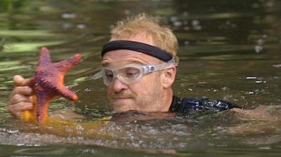 I'm a Celebrity...Get Me Out of Here!