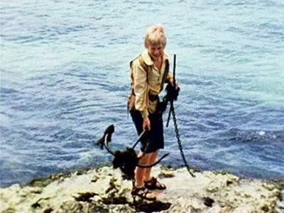 Swiss Family Robinson