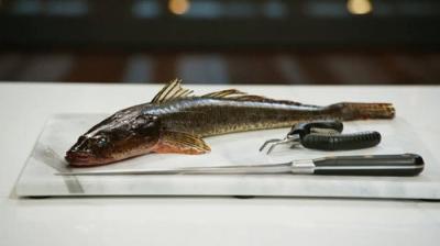MasterChef Australia