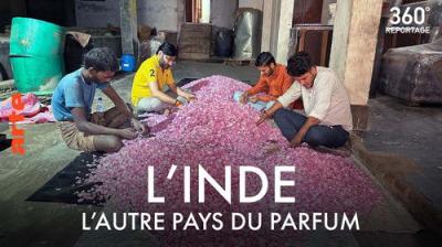 ARTE 360° Reportage