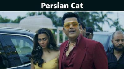 Psycho Saiyaan