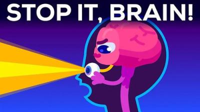 Kurzgesagt - In a Nutshell