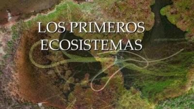 Planeta Microbio
