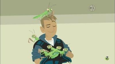Wild Kratts