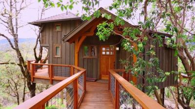 Treehouse Masters