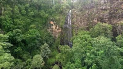 Planeta Selva