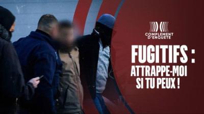 Complément d'enquête