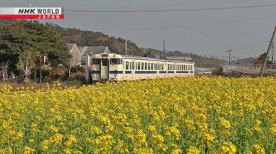 Train Cruise