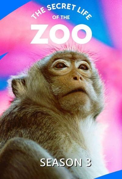 The Secret Life of the Zoo filmas online