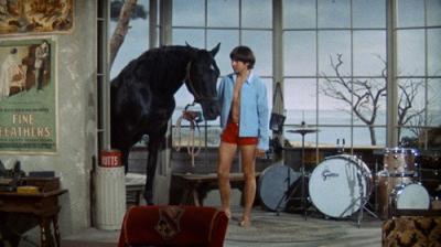 The Monkees