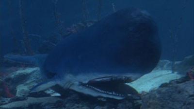 Voyage to the Bottom of the Sea