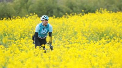 Cycle Around Japan
