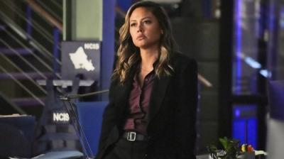 Jūrų kriminalistai. Havajai