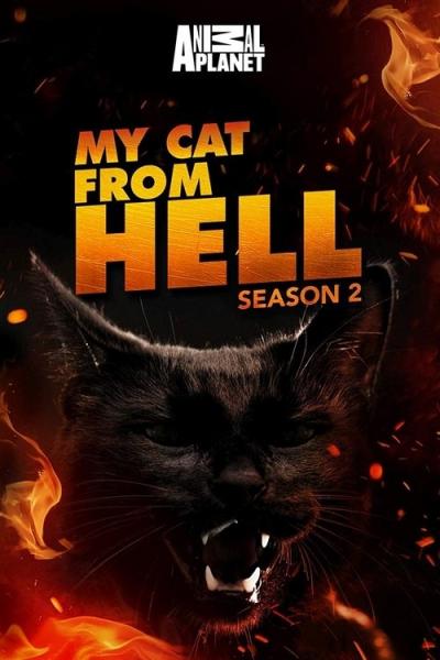 My Cat from Hell filmas online