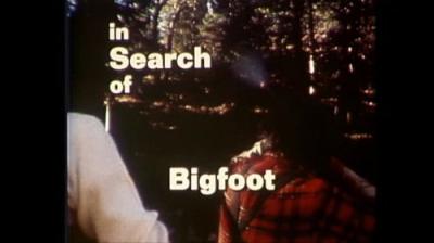 In Search of...