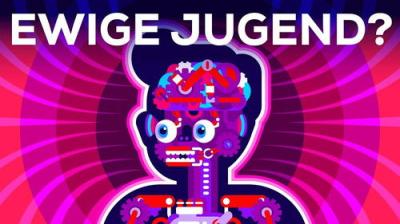 Kurzgesagt - In a Nutshell