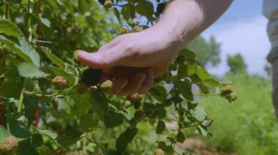 Oklahoma Gardening