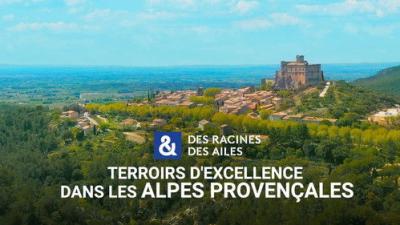 Des racines & des ailes