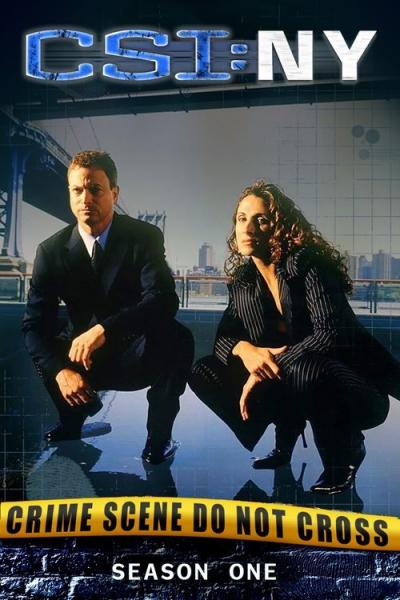 CSI: NY filmas online