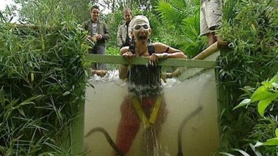 I'm a Celebrity...Get Me Out of Here!