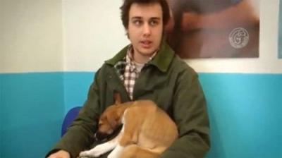 For the Love of Dogs