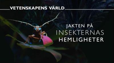Vetenskapens värld
