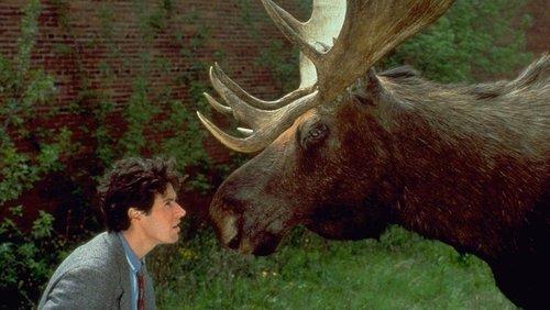Northern Exposure filmas žiurėti online
