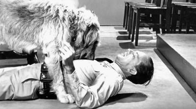 The Andy Griffith Show