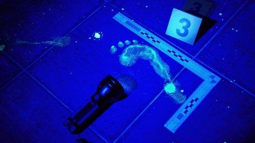 Forensic Files filmas žiurėti online