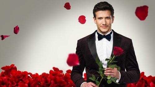 Bachelor filmas žiurėti online