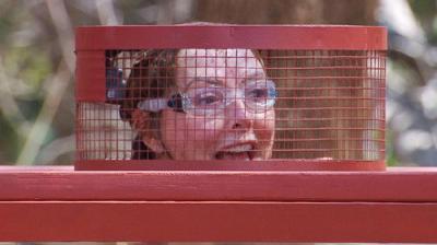 I'm a Celebrity... South Africa