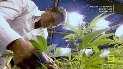 Drugs, Inc.