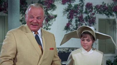 The Flying Nun