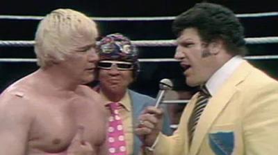 WWF All-Star Wrestling