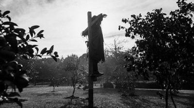 The Brokenwood Mysteries