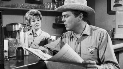 The Fugitive