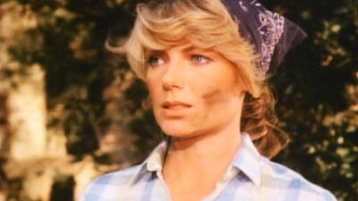 Falcon Crest