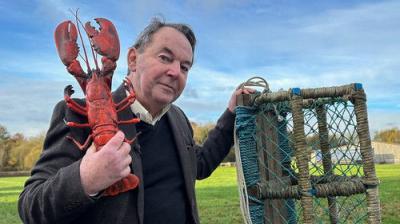 Bargain Hunt