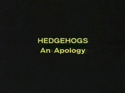 Not the Nine O'Clock News