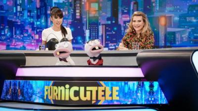 Furnicuțele